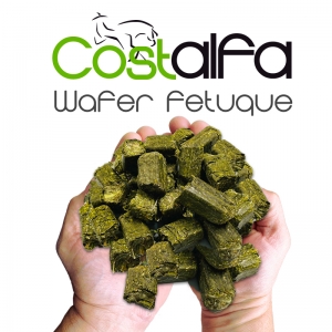 Costalfa Wafer Fetuque 20 kgs