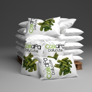 Costalfa Dailycube palette 50 sacs