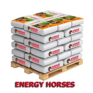 Guidolin Energy Horses palette 48 sacs