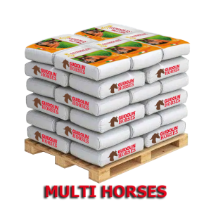 Guidolin Multi Horses palette 48 sacs