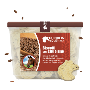 Biscuit avec graine de lin 700gr