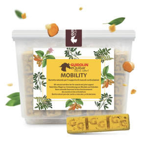 Equibar Mobility 700gr