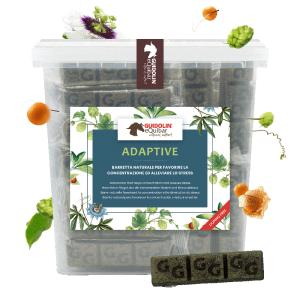 Equibar Adaptive 2kg