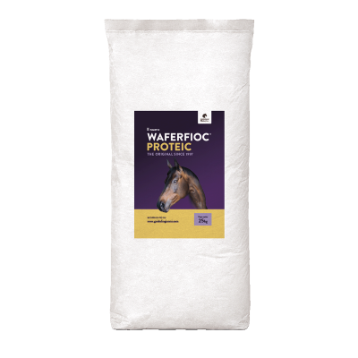 Albero Di Kaki Mela - Pianta Da Frutto Innestata In Vaso 16cm | Altezza 140-170cm | Produzione Frutti Dolci - Foto 5