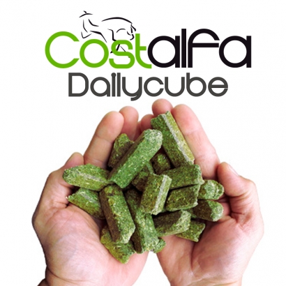 Costalfa Dailycube 25kg